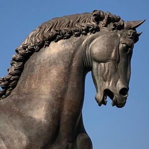 Meet your Posher, Dawn